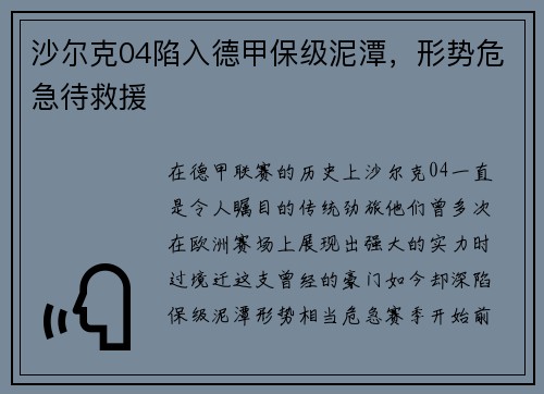沙尔克04陷入德甲保级泥潭，形势危急待救援
